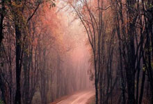 开云官网-C罗泪别欧洲杯！死亡半区惊现黑马乱局，今夜焦点引爆全网！