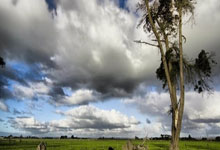 开云官方app入口-丹麦完胜克罗地亚，弗拉霍维奇关键制胜——足球场上的激情与荣耀