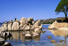 开云平台-波兰乒乓球队完胜法国乒乓球队，奥恰洛夫制霸全场的辉煌瞬间