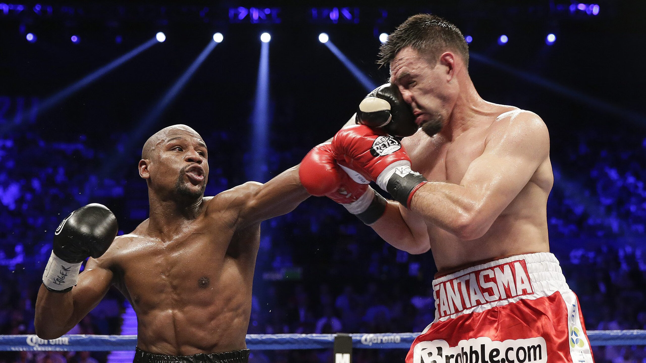 宿命与新生，霍勒迪生死接管，凯尔特人横扫黄蜂背后的王朝密码